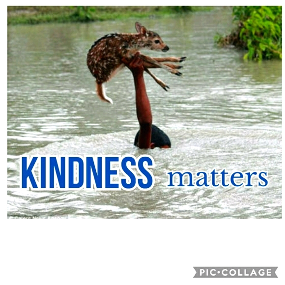 You can do it! 🤗 - Picture 1 of 1